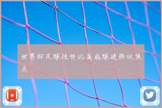 世界杯足球性价比高成球迷热议焦点