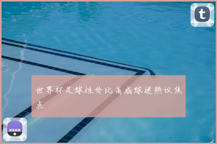 世界杯足球性价比高成球迷热议焦点