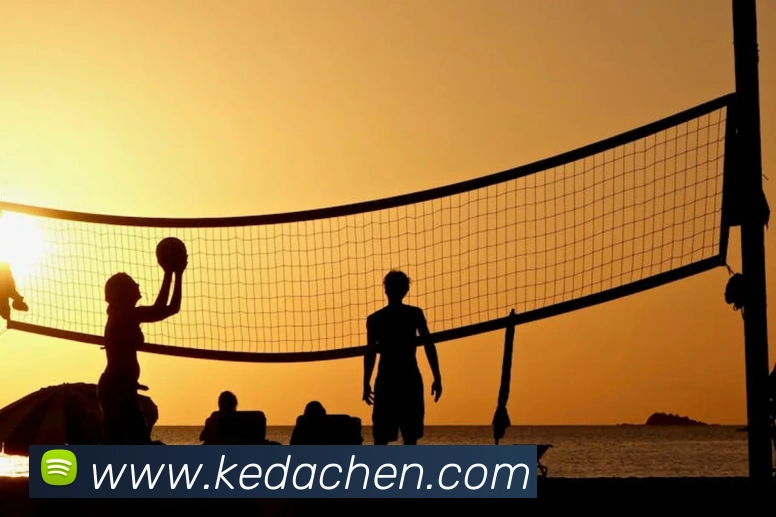 在线买世界杯平台平台生态图